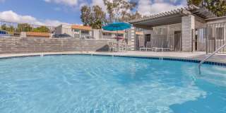 Ocean Vista Gallery 4