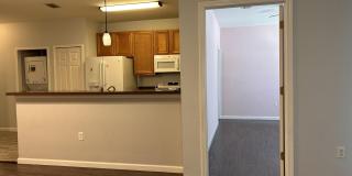 8215 GREEN PARROT Road Gallery 5