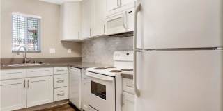 Langdon Park on Arrow Gallery 5