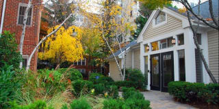 Rosslyn Heights Gallery 84