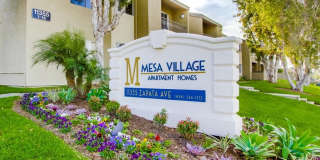 Mesa Village Gallery 11