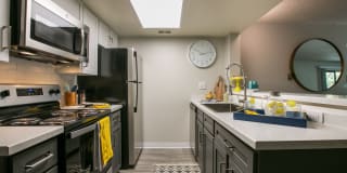 Glo Apartments Gallery 10