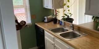 Charming 4BR House in Winston Salem Charming 4BR House in Winston Salem Gallery 1
