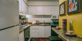 Madison Rockwood Gallery 14