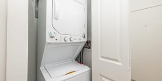 737 PINE Gallery 5