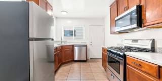4040 Palmwood Gallery 3