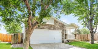 Charming 3bd/2ba Single-Level Home with Spacious Yard - FREE iPad or 55” TV if moved in by 5/15! Gallery 3