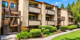 Dazzling 2-bedroom Condo for Rent - Warm Springs! Gallery 1