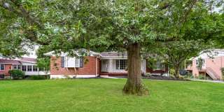 1007 Pineknot Drive Gallery 1