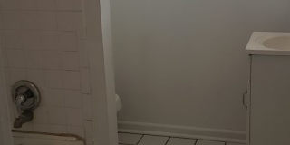 Golden opportunity! Gallery 7