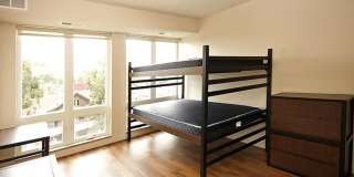 The Elysian Gallery 253