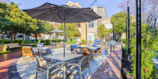 Woodland Meadow Gallery 38