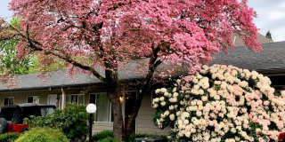 Fairway Village Apartments Gallery 100