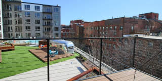 Main2525 Gallery 115