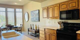 25615 N SAGO Drive Gallery 11