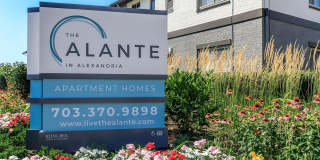 The Alante in Alexandria Gallery 7