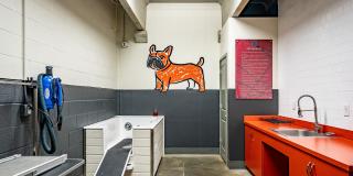 East Side Heights Gallery 19