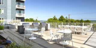 Ocean 650 Gallery 6