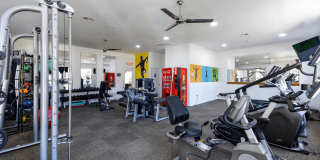 Cortina Apartments Gallery 24