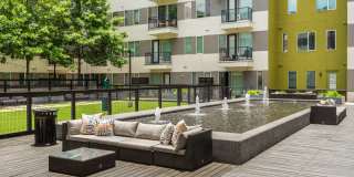 Lamar Union Gallery 33