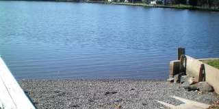 5917 SNEED Drive Gallery 26