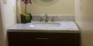 3064 WINTER PINE Court Gallery 8