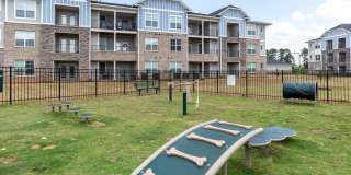 The One at Spartanburg Gallery 41