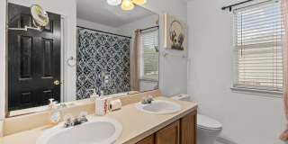 8119 Ellerston Gallery 17