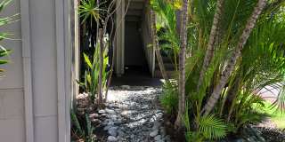 Pohailani Condos 2BD/1BTH Gallery 12