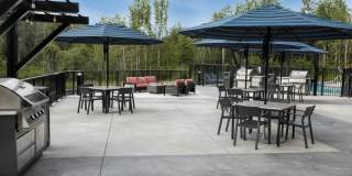 Arris Duluth Gallery 29