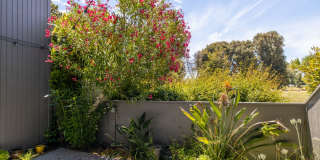 Beautiful End Unit Townhouse Gallery 10