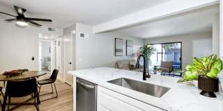 9209 Village Glen DriveUnit 146 Gallery 6