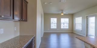 Century Palm Bluff Gallery 20