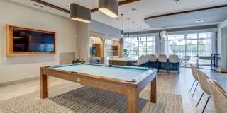 Delamarre at Celebration Gallery 13