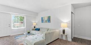 Glenmont Forest Gallery 46