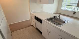 (343) Palatine Apartment  1 Bdrm / 1 Bthrm Gallery 8