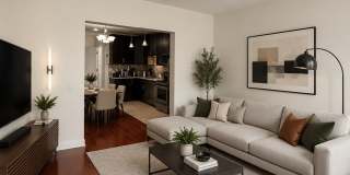183 WEBSTER AVE Gallery 2