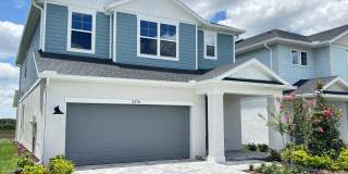 3379 Yellow Cassia Dr Gallery 2