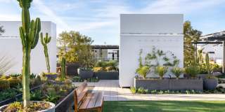 The Park Gallery 24