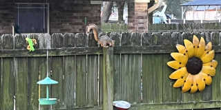 Upgrade your lifestyle in 2026! Gallery 13