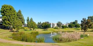 3256 San Amadeo Gallery 20