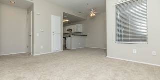 Avery at TownCentre Gallery 61