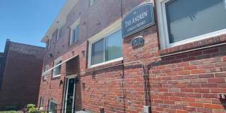 Andrew Gallery 47