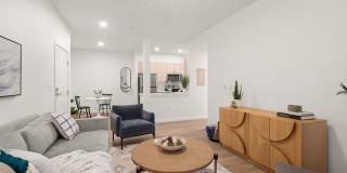 Modera Lacey Gallery 23