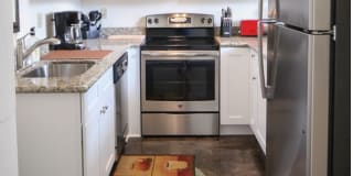 The Woodward Gallery 67