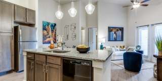 Palladium Carver Living Gallery 40