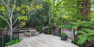 Stunning Architectural Masterpiece! 5BR+Yoga Studio/4.5BA! Ross! Views! Pool! Pet! Waterfalls!  PROGRESSIVE Gallery 12