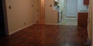 8959 arch Gallery 10