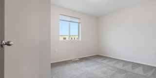 Lux North Lux North Gallery 35