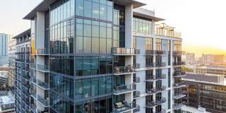 The Morris Gallery 43